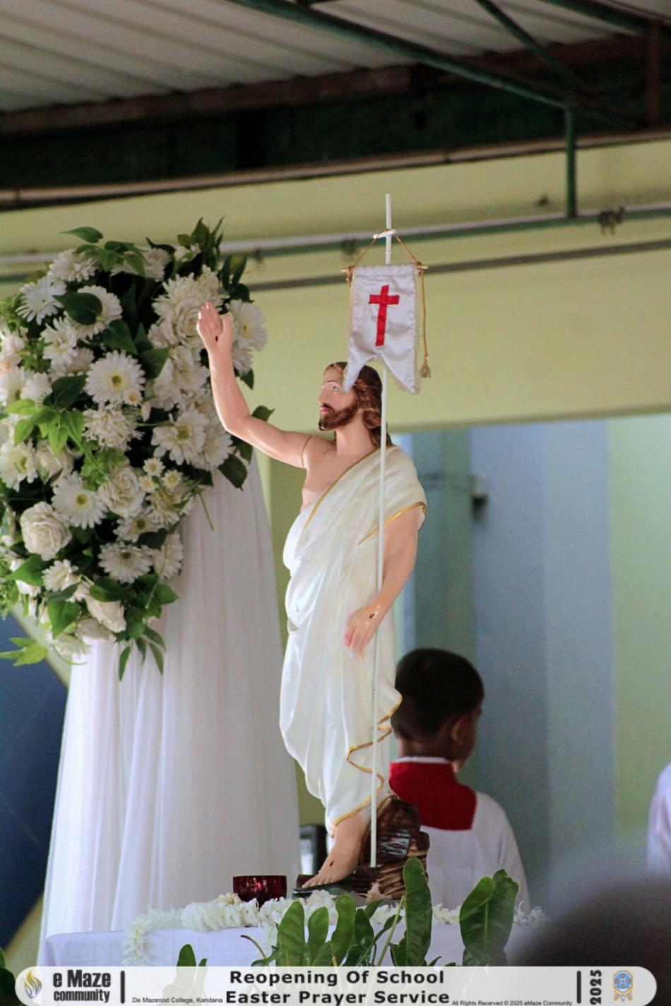 Image 15