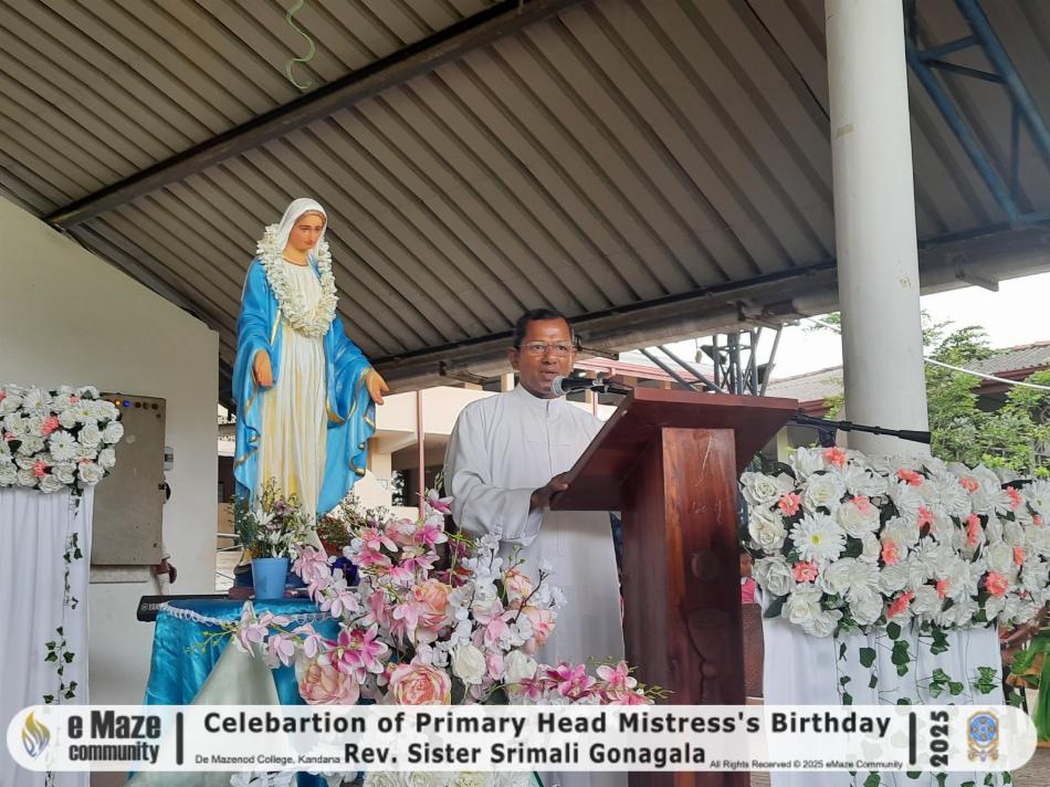 Image 15