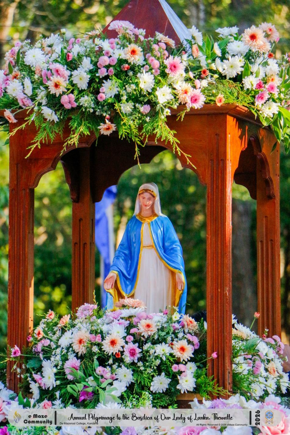 Image 13