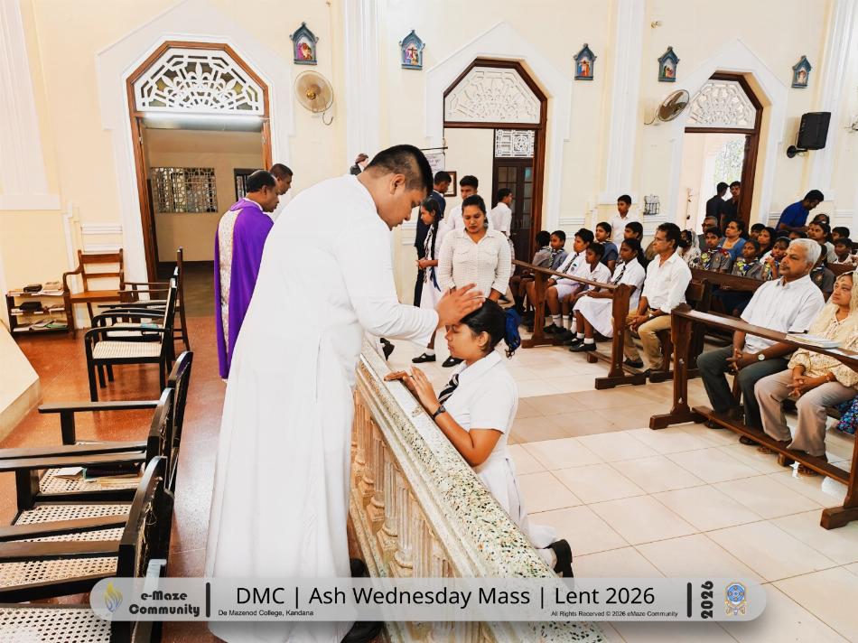 Image 13